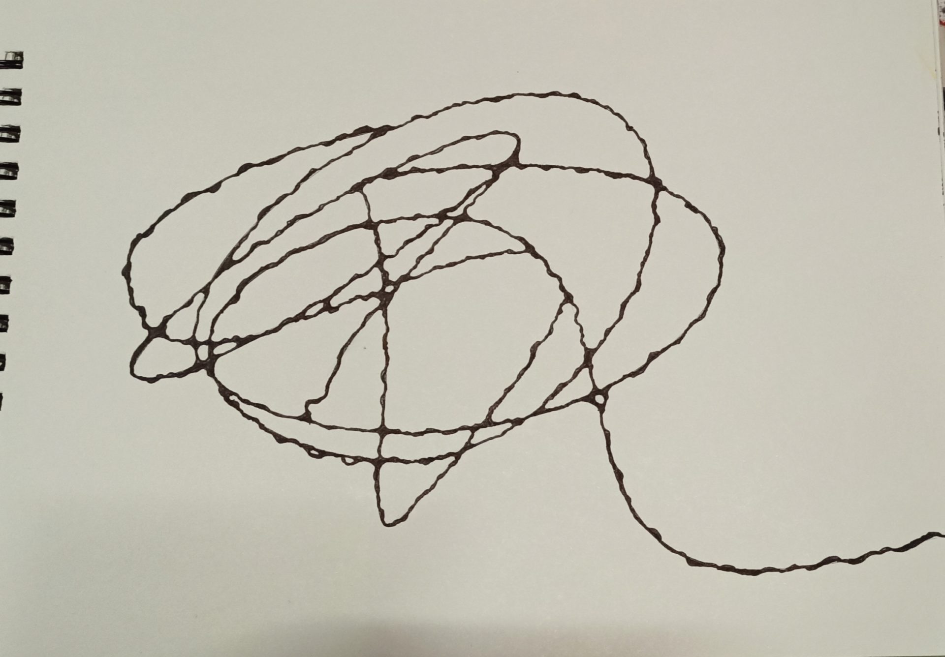 НЕЙРОГРАФИКА - как научиться самостоятельно рисовать пошагово-шаг2